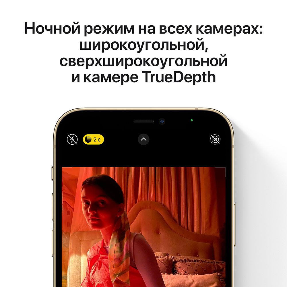 iPhone 12 Pro Max 256Gb, серебристый— фото №4