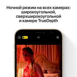 iPhone 12 Pro Max 256Gb, серебристый— фото №4