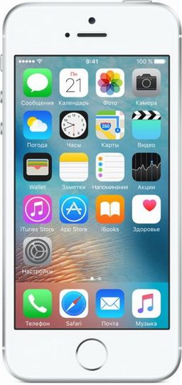 iPhone SE 16Gb, серебристый— фото №1